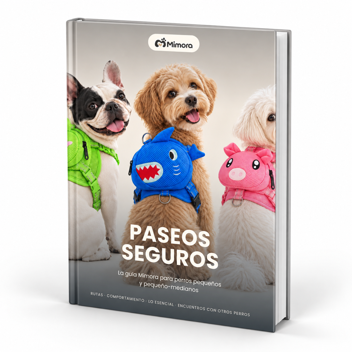 + Guía Paseos Seguros