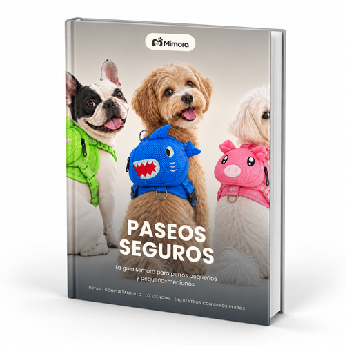 + Guía Paseos Seguros