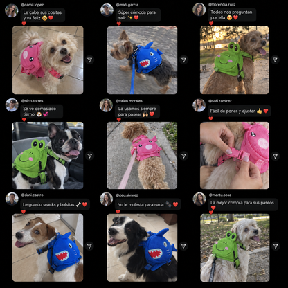 Mochila para Perros