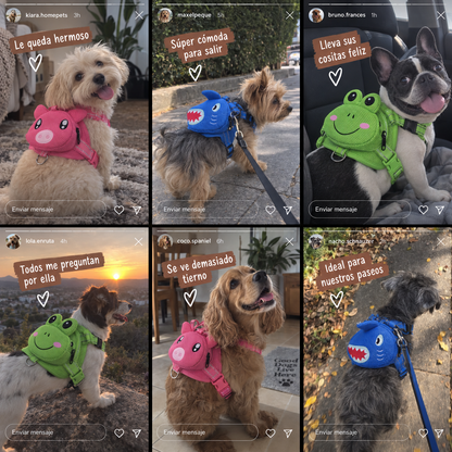 Mochila para Perros