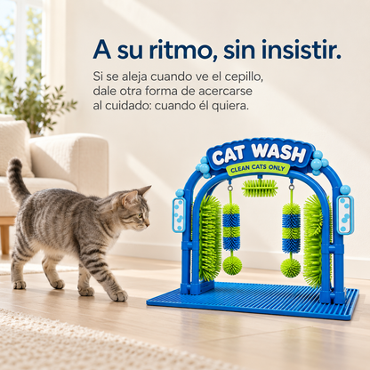Cat Grooming and Massage Station