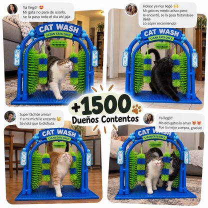 Cat Grooming and Massage Station